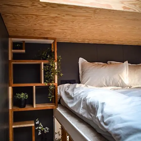 Campingplads Coniferis *